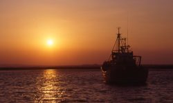 España, ¿será líder en pesca sostenible o en sobrepesca?