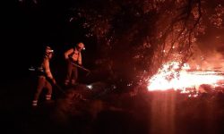 Sierra Bermeja: El incendio más complejo de España de los últimos años