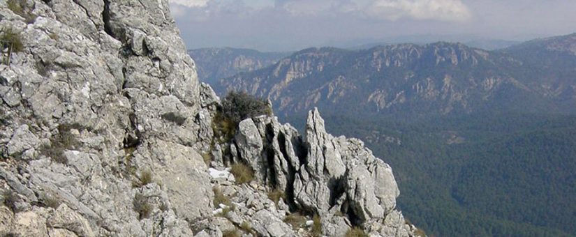 La Junta aprueba los PDS de tres parques naturales andaluces