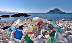 Oceana: la recién aprobada Ley de Residuos no frenará la llegada de plásticos al mar