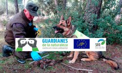 Nuevo curso de investigación de delitos ambientales para agentes forestales y de medio ambiente de toda España