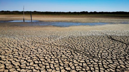 La sequía y la sobreexplotación de los acuíferos secan la última laguna permanente de Doñana
